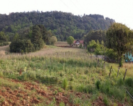 Terreno à Venda, 8.700 m² em 9 Colônias - Nova Petrópolis