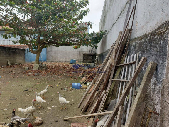 Imagem Terreno à Venda, 255 m² em Indaiá - Caraguatatuba Imagem Terreno à Venda, 255 m² em Indaiá - Caraguatatuba