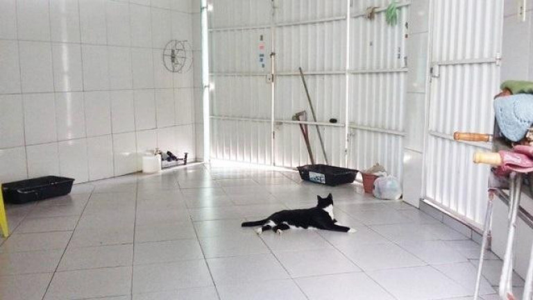 Casa com 2 Quartos à Venda, 260 m² em Jardim Do Estádio - Santo André