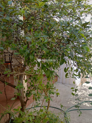 Casa com 3 Quartos à Venda, 6 m² em Centro - Diadema