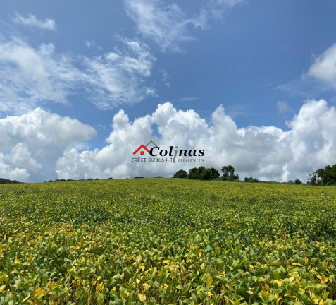 Terreno à Venda, 276.773 m² em Depois Do Centro - Ibiúna
