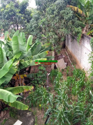 Imagem Sobrado com 2 Quartos à Venda, 400 m² em Santa Lúcia - São José Dos Campos Imagem Sobrado com 2 Quartos à Venda, 400 m² em Santa Lúcia - São José Dos Campos