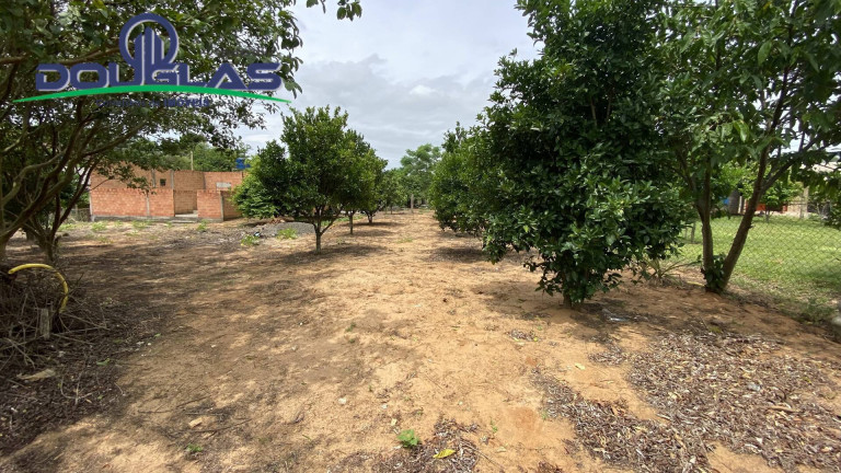 Imagem Terreno à Venda, em Viamão Imagem Terreno à Venda, em Viamão