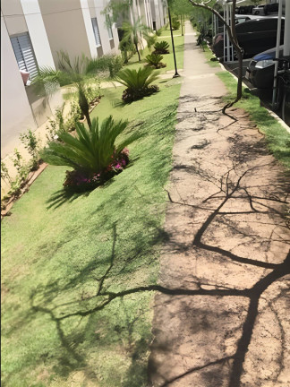 Imagem Apartamento com 2 Quartos à Venda,  em Chácara Mendonça - Campinas