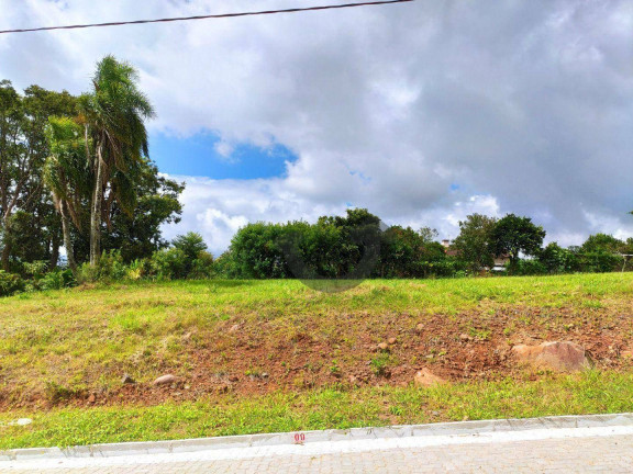 Imagem Terreno à Venda, 304 m² em Linha Santa Cruz - Santa Cruz Do Sul Imagem Terreno à Venda, 304 m² em Linha Santa Cruz - Santa Cruz Do Sul
