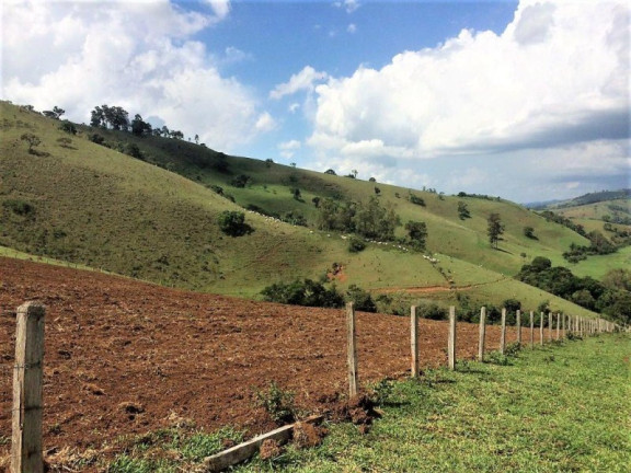 Imagem Imóvel com 3 Quartos à Venda, 448.000 m² em Roseta - Cambuí