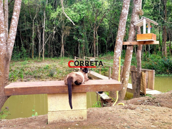 Imagem Casa com 2 Quartos à Venda, 1.000 m² em Cupim - Ibiúna Imagem Casa com 2 Quartos à Venda, 1.000 m² em Cupim - Ibiúna
