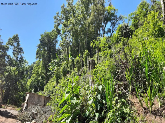 Imagem Imóvel com 2 Quartos à Venda, 50 m² em Linha Pirajá Baixa - Nova Petrópolis Imagem Imóvel com 2 Quartos à Venda, 50 m² em Linha Pirajá Baixa - Nova Petrópolis