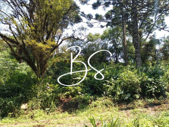 Imagem Imóvel à Venda, 1.000 m² em Serra Grande - Igrejinha Imagem Imóvel à Venda, 1.000 m² em Serra Grande - Igrejinha