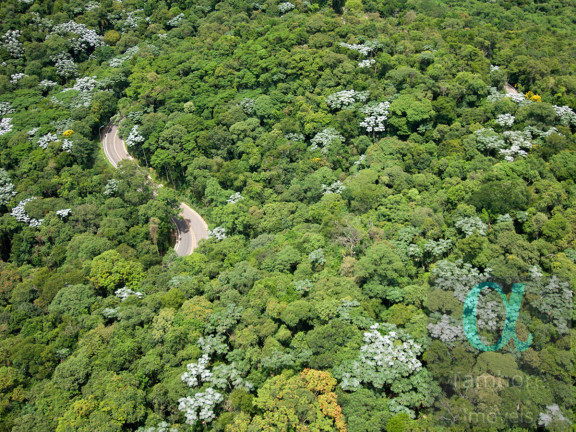 Imagem Terreno à Venda, 565 m² em Alphaville - Santana De Parnaíba Imagem Terreno à Venda, 565 m² em Alphaville - Santana De Parnaíba