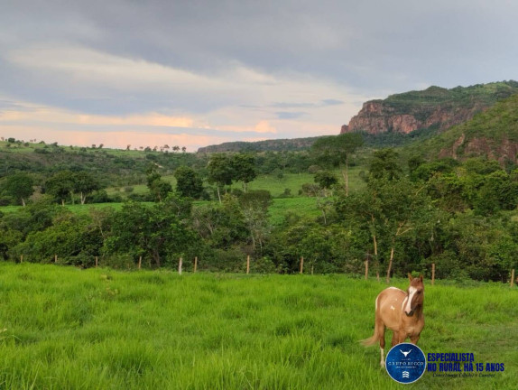 Imagem Fazenda à Venda, 187 m² em Zona Rural - Mineiros Imagem Fazenda à Venda, 187 m² em Zona Rural - Mineiros