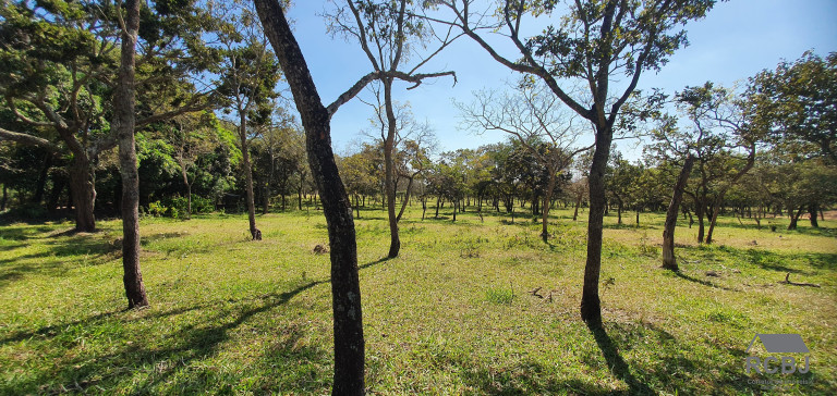 Imagem Terreno à Venda, em Tropeiros - Esmeraldas Imagem Terreno à Venda, em Tropeiros - Esmeraldas