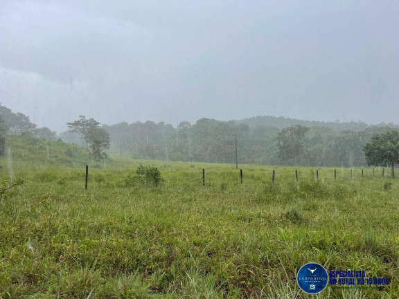 Imagem Fazenda à Venda, 33 m² em Zona Rural - Goiás Imagem Fazenda à Venda, 33 m² em Zona Rural - Goiás