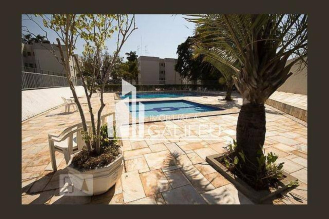 Imagem Apartamento com 2 Quartos à Venda, 54 m² em Jardim Miranda - Campinas