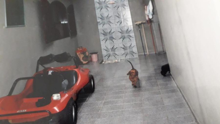 Imagem Casa com 3 Quartos à Venda, 250 m² em Bopiranga - Itanhaém Imagem Casa com 3 Quartos à Venda, 250 m² em Bopiranga - Itanhaém
