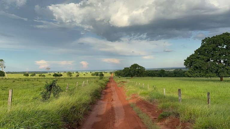 Imagem Fazenda à Venda, 5.793 m² em Rural - Nova Andradina
