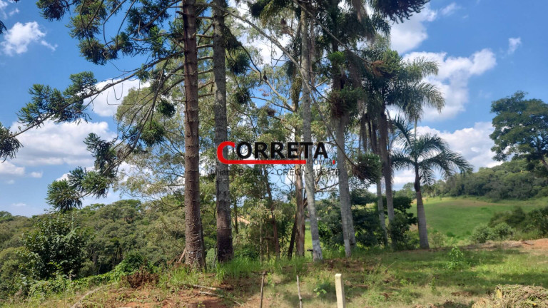 Imagem Casa com 3 Quartos à Venda, 48.000 m² em Morro Grande - Ibiúna Imagem Casa com 3 Quartos à Venda, 48.000 m² em Morro Grande - Ibiúna