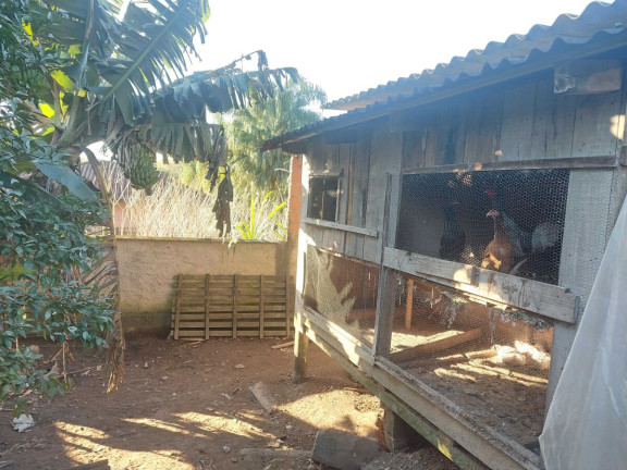 Imagem Casa com 3 Quartos à Venda, 125 m² em Testo Alto - Pomerode Imagem Casa com 3 Quartos à Venda, 125 m² em Testo Alto - Pomerode