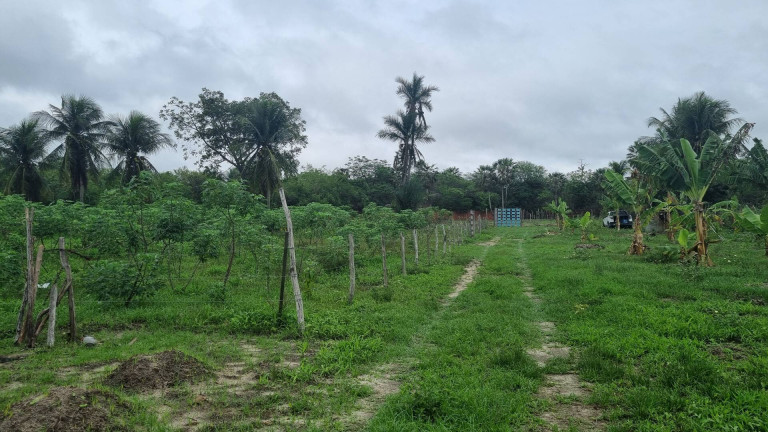 Imagem Terreno à Venda, 10.828 m² em Camará - Aquiraz