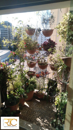 Imagem Apartamento com 3 Quartos à Venda, 95 m² em Vila Andrade - São Paulo