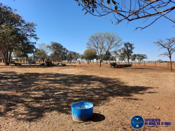 Imagem Chácara à Venda, 5 m² em Zona Rural - Cristianópolis Imagem Chácara à Venda, 5 m² em Zona Rural - Cristianópolis