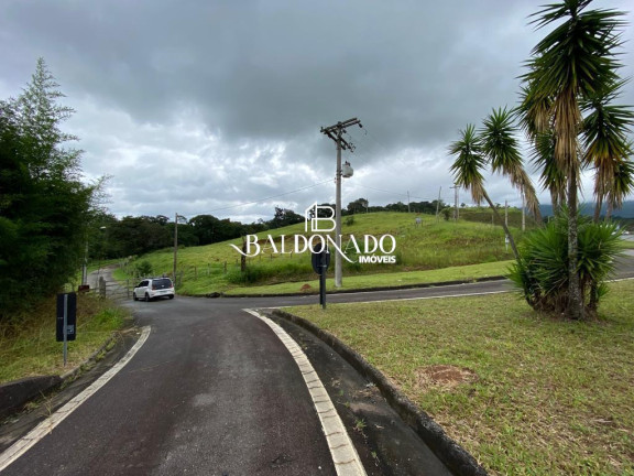 Imagem Terreno para Alugar, 16.000 m² em Centro - Vargem