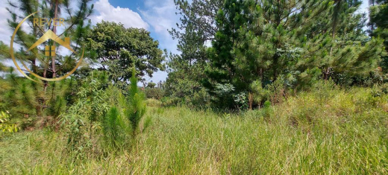 Imagem Terreno à Venda, 4.698 m² em Chácara Bela Vista - Campinas Imagem Terreno à Venda, 4.698 m² em Chácara Bela Vista - Campinas