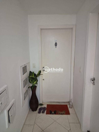Imagem Apartamento com 2 Quartos à Venda, 66 m² em Parque Brasília - Campinas Imagem Apartamento com 2 Quartos à Venda, 66 m² em Parque Brasília - Campinas