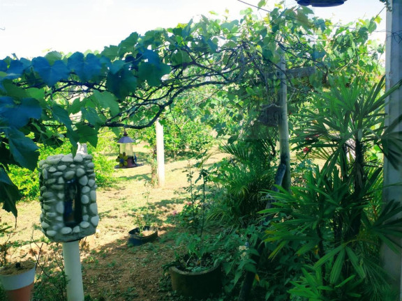 Imagem Chácara com 2 Quartos à Venda, 4.326 m² em Azurita