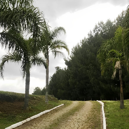 Imagem Imóvel com 4 Quartos à Venda, 150 m² em Vila Seca - Caxias Do Sul