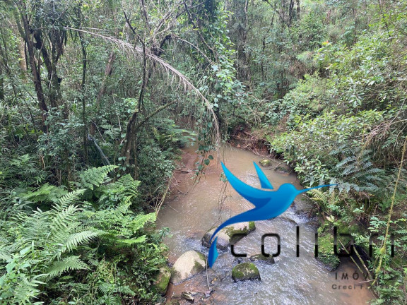 Imagem Chácara à Venda, 20.637 m² em Lagoa Dos Pretos - Agudos Do Sul Imagem Chácara à Venda, 20.637 m² em Lagoa Dos Pretos - Agudos Do Sul