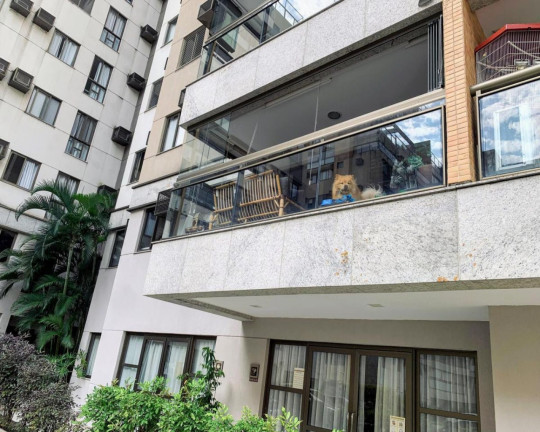 Imagem Imóvel com 3 Quartos à Venda, 82 m² em Recreio Dos Bandeirantes - Rio De Janeiro