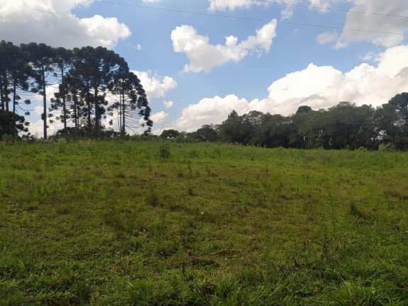 Imagem Terreno à Venda, 5.000 m² em Contenda - São José Dos Pinhais