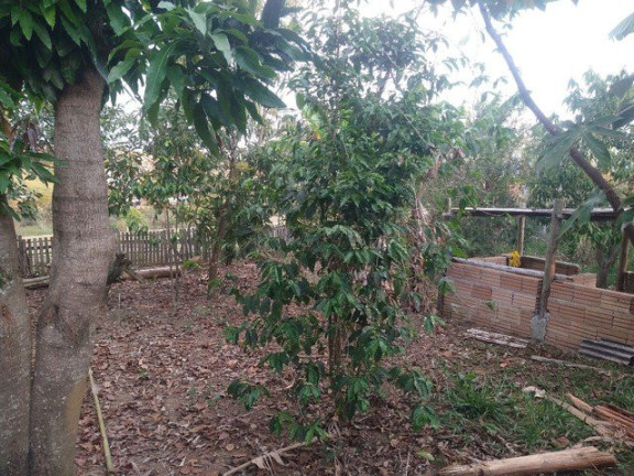Imagem Fazenda à Venda, 3.000 m² em Jardim Santa Luzia - Guaratinguetá