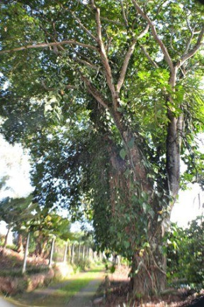 Imagem Imóvel com 6 Quartos à Venda, 680 m² em Condomínio Itaembu - Itatiba Imagem Imóvel com 6 Quartos à Venda, 680 m² em Condomínio Itaembu - Itatiba