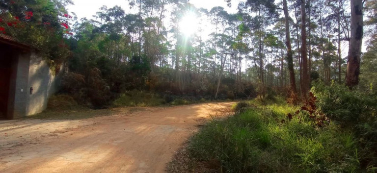 Imagem Imóvel à Venda, 266.200 m² em Pedra Vermelha (terra Preta) - Mairiporã Imagem Imóvel à Venda, 266.200 m² em Pedra Vermelha (terra Preta) - Mairiporã