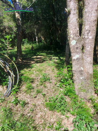 Imagem Terreno à Venda, 8.000 m² em águas Claras - Viamão