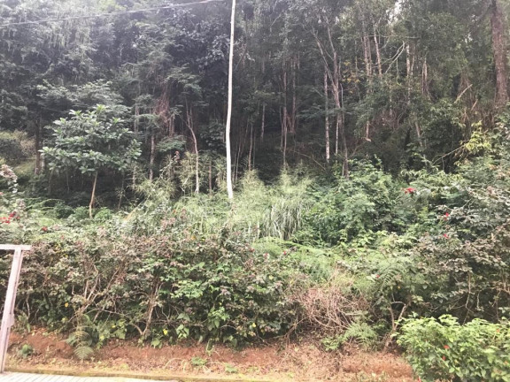 Imagem Imóvel à Venda,  em Vila Isabel - Domigos  Martins