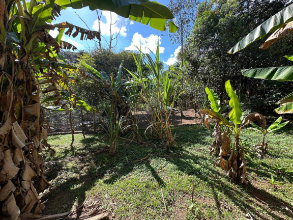 Imagem Chácara com 5 Quartos à Venda, 5 m² em Cachaça Pendão - Itatiaiuçu Imagem Chácara com 5 Quartos à Venda, 5 m² em Cachaça Pendão - Itatiaiuçu