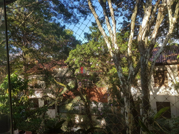 Imagem Apartamento com 3 Quartos à Venda, 97 m² em Vila Mariana - São Paulo Imagem Apartamento com 3 Quartos à Venda, 97 m² em Vila Mariana - São Paulo