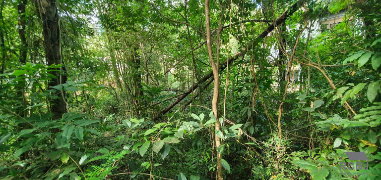 Imagem Terreno à Venda, 1.000 m² em Retiro Do Chalé - Brumadinho Imagem Terreno à Venda, 1.000 m² em Retiro Do Chalé - Brumadinho