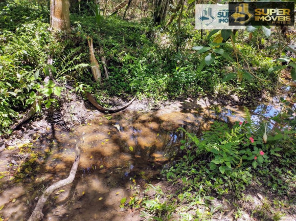 Imagem Imóvel com 1 Quarto à Venda, 30.000 m² em Cascata - Pelotas