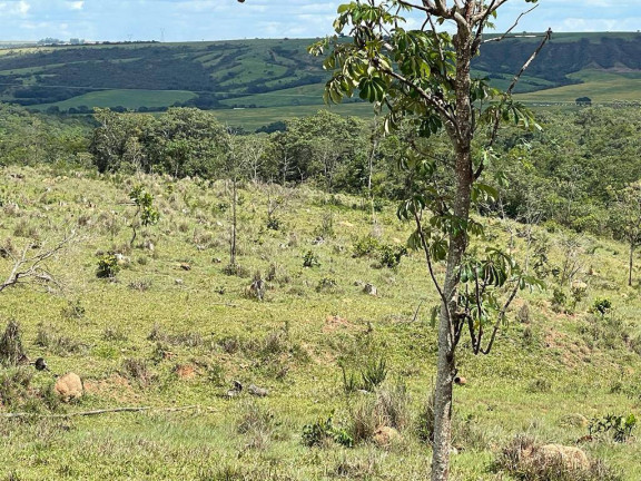Imagem Fazenda à Venda, 24 m² em Centro - Luziânia