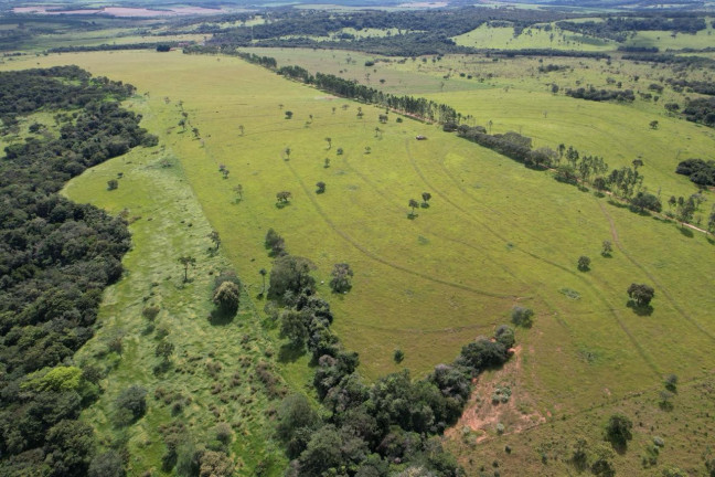 Imagem Fazenda à Venda, 42 m² em Zona Rural - Uberaba Imagem Fazenda à Venda, 42 m² em Zona Rural - Uberaba