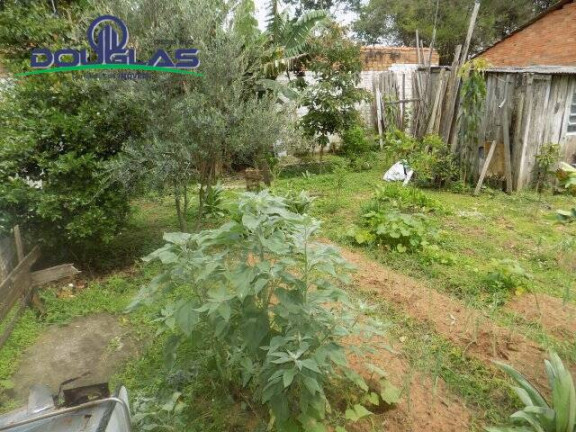 Imagem Casa com 2 Quartos à Venda, 500 m² em águas Claras - Viamão