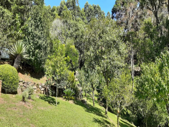 Imagem Imóvel com 2 Quartos à Venda, 220 m² em Linha Brasil Fundos - Nova Petrópolis