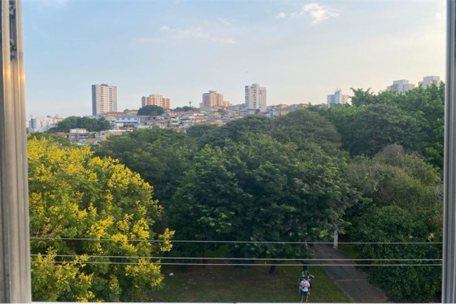 Imagem Apartamento com 2 Quartos para Alugar, 35 m² em Jardim Cidade Pirituba - São Paulo Imagem Apartamento com 2 Quartos para Alugar, 35 m² em Jardim Cidade Pirituba - São Paulo