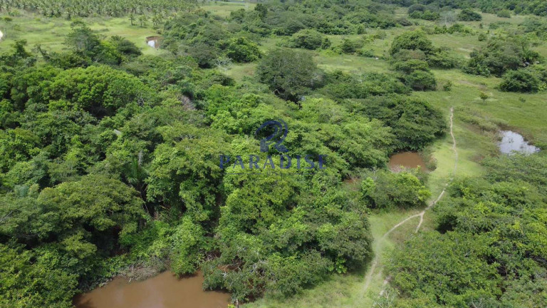 Imagem Fazenda à Venda, 2.114.000 m² em Zona Rural - Itanagra Imagem Fazenda à Venda, 2.114.000 m² em Zona Rural - Itanagra