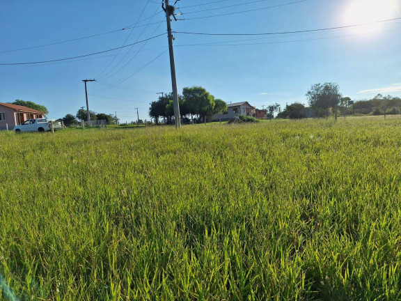 Imagem Terreno à Venda, 318 m² em águas Claras - Viamão