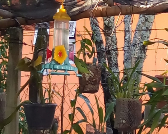 Imagem Imóvel com 3 Quartos à Venda, em Vale Verde - Nova Petrópolis Imagem Imóvel com 3 Quartos à Venda, em Vale Verde - Nova Petrópolis